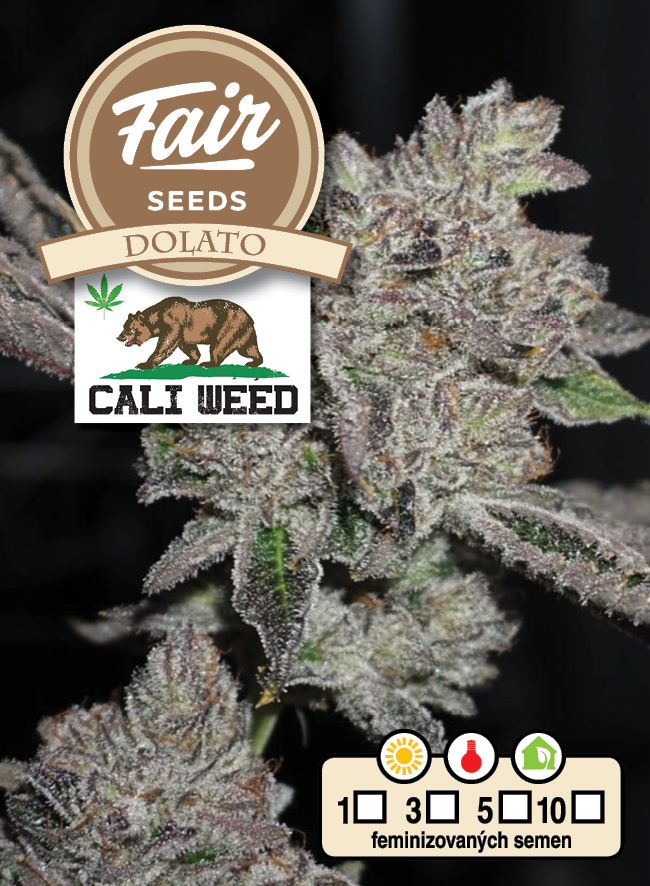 Fair Seeds CALI WEED Dolato Feminisiert