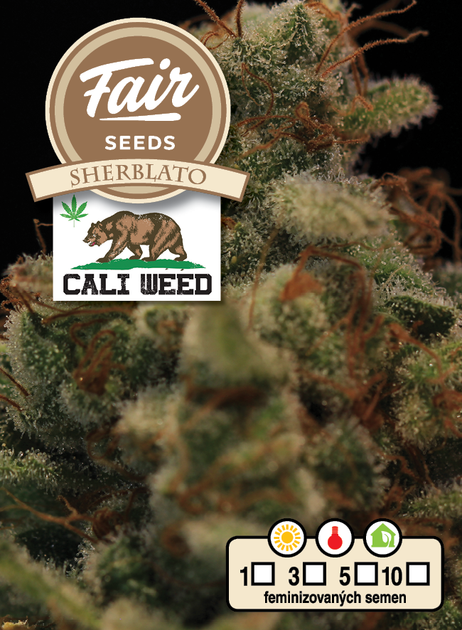 Fair Seeds CALI WEED Sherblato Feminisiert