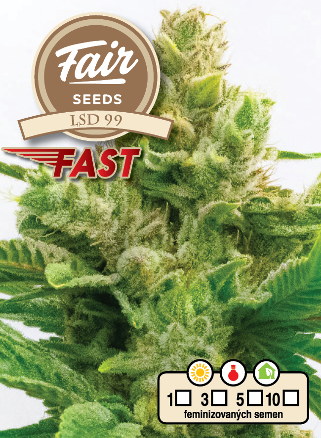 Fair Seeds LSD 99 Fast feminisiert schnell