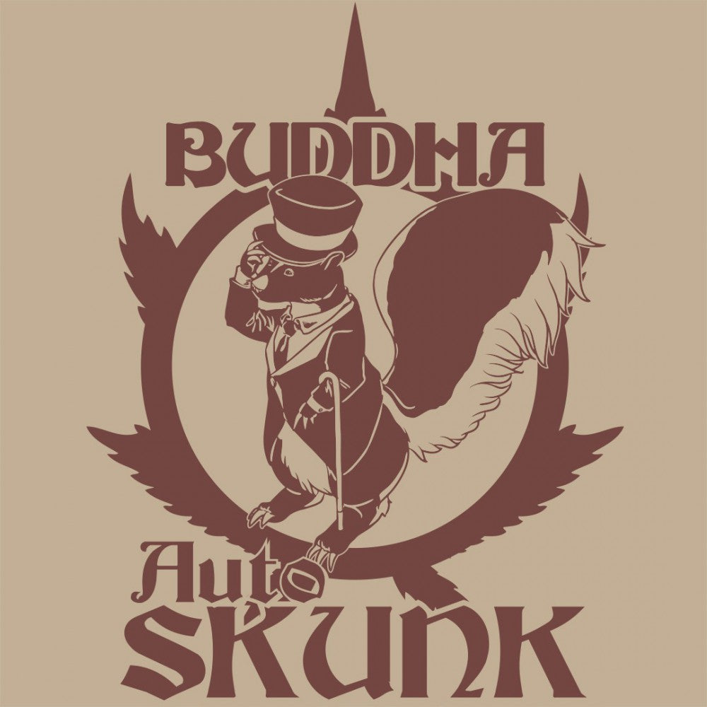 Buddha Seeds ''Buddha's Classics'' Auto Skunk Feminisiert Autoflower