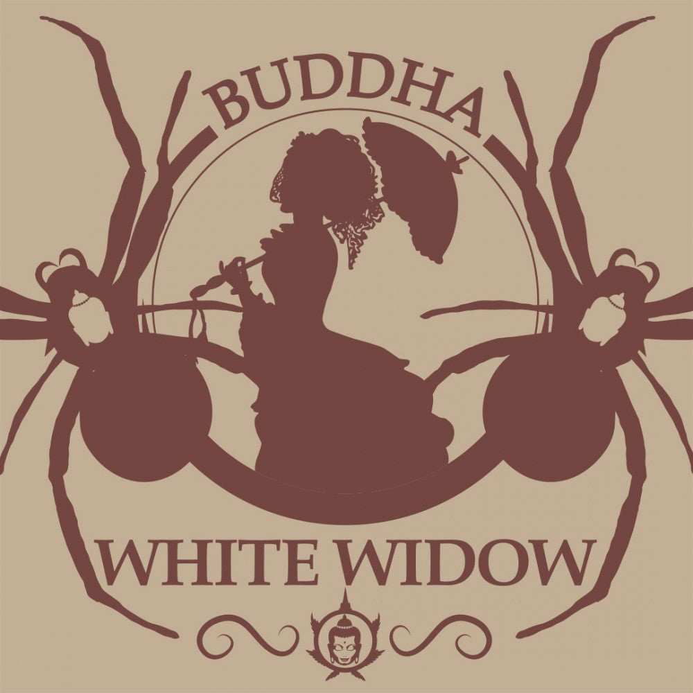 Buddha Seeds ''Buddha's Classics'' White Widow Feminisiert