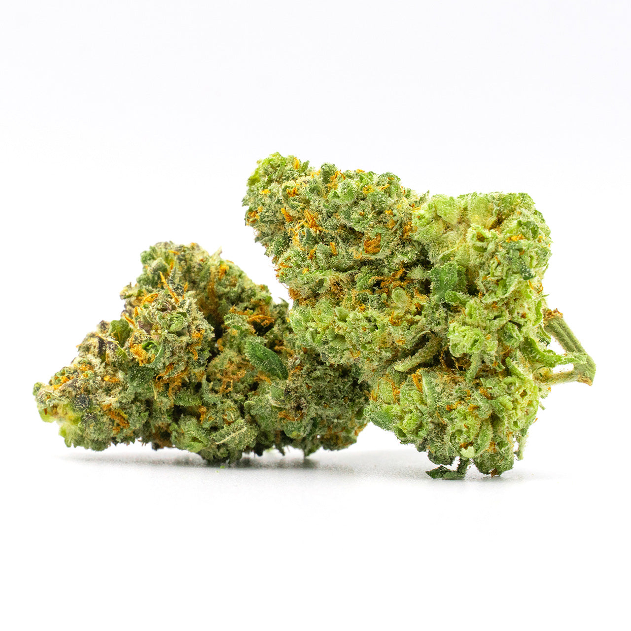 Blimburn Seeds Alien OG von Steve DeAngelo´s Feminisiert