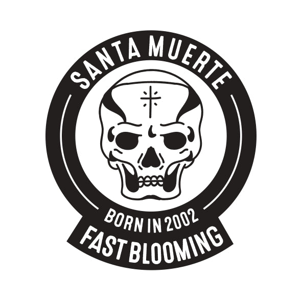 Blimburn Seeds Santa Muerte Fast Blooming Feminisiert schnell