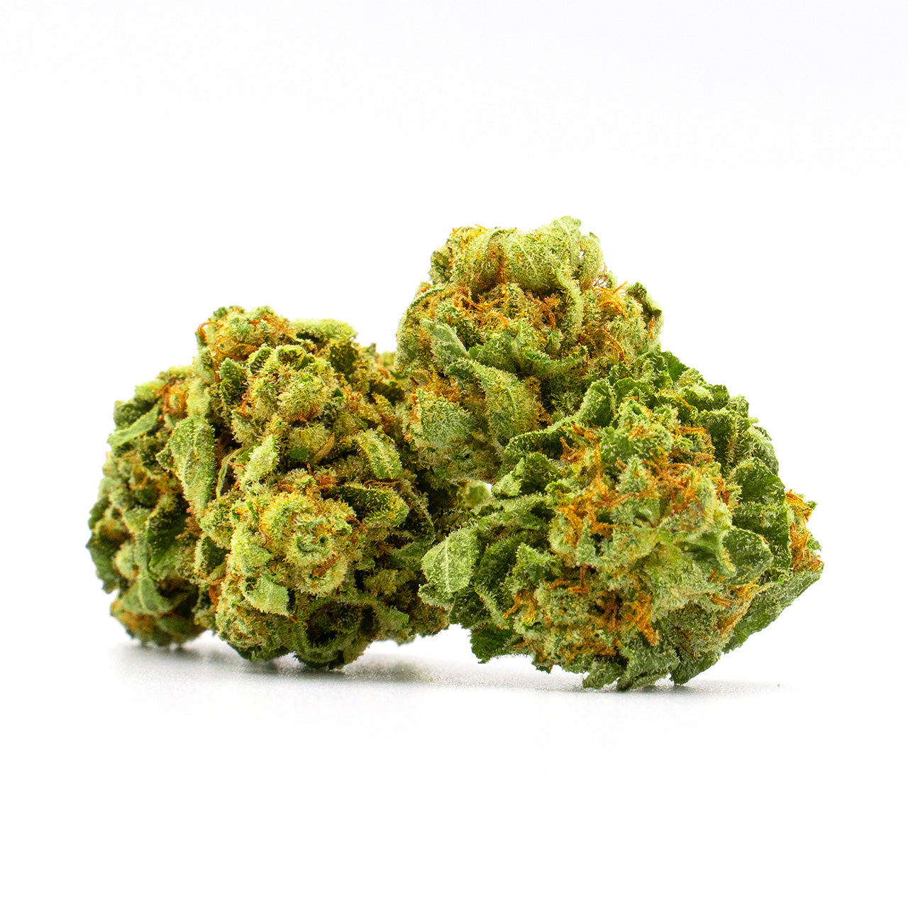 Blimburn Seeds Skywalker OG von Kyle Kushman´s feminisiert