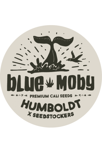 Seedstockers x Humboldt Blue Moby Feminisiert