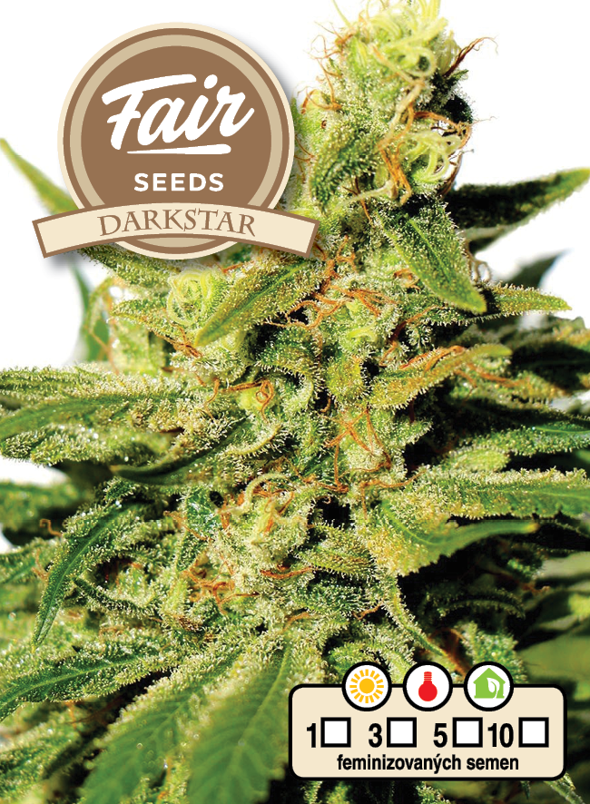 Fair Seeds Dark Star feminisiert