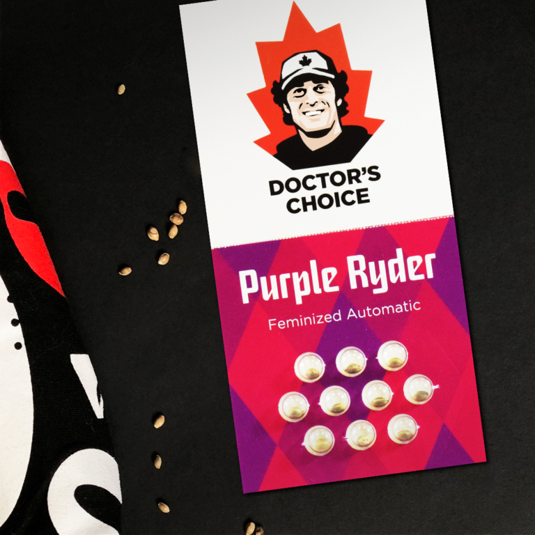 Doctor's Choice Purple Ryder Autoflower Feminisiert