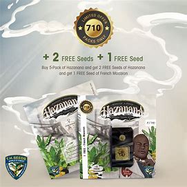 TH Seeds 710 Limited Pack Hazanana, Feminisiert, 7 Stk