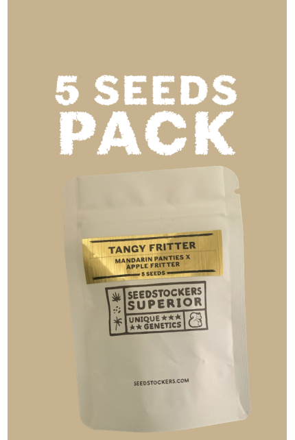 Seedstockers Tangy Fritter Limited, Feminisiert