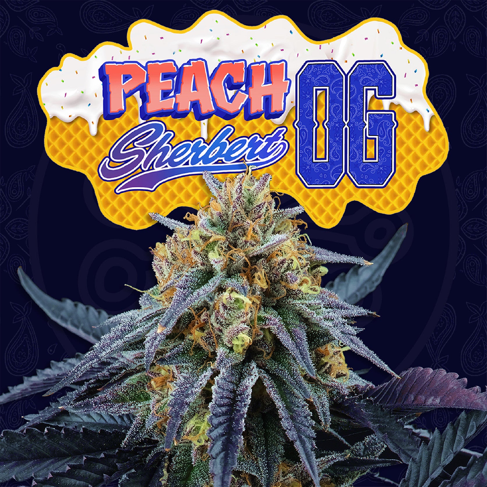 Perfect Tree Seeds Peach Sherbet OG Feminisiert 6 Stk