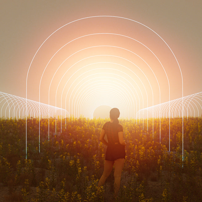 Ethos Genetics, Early Girls Multipack, Feminisiert, 5x6/30 Stk